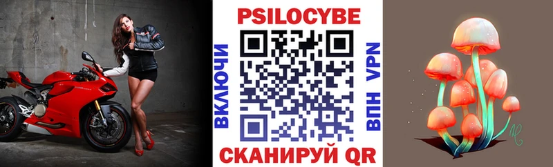 Галлюциногенные грибы Psilocybine cubensis  закладки  Липки 